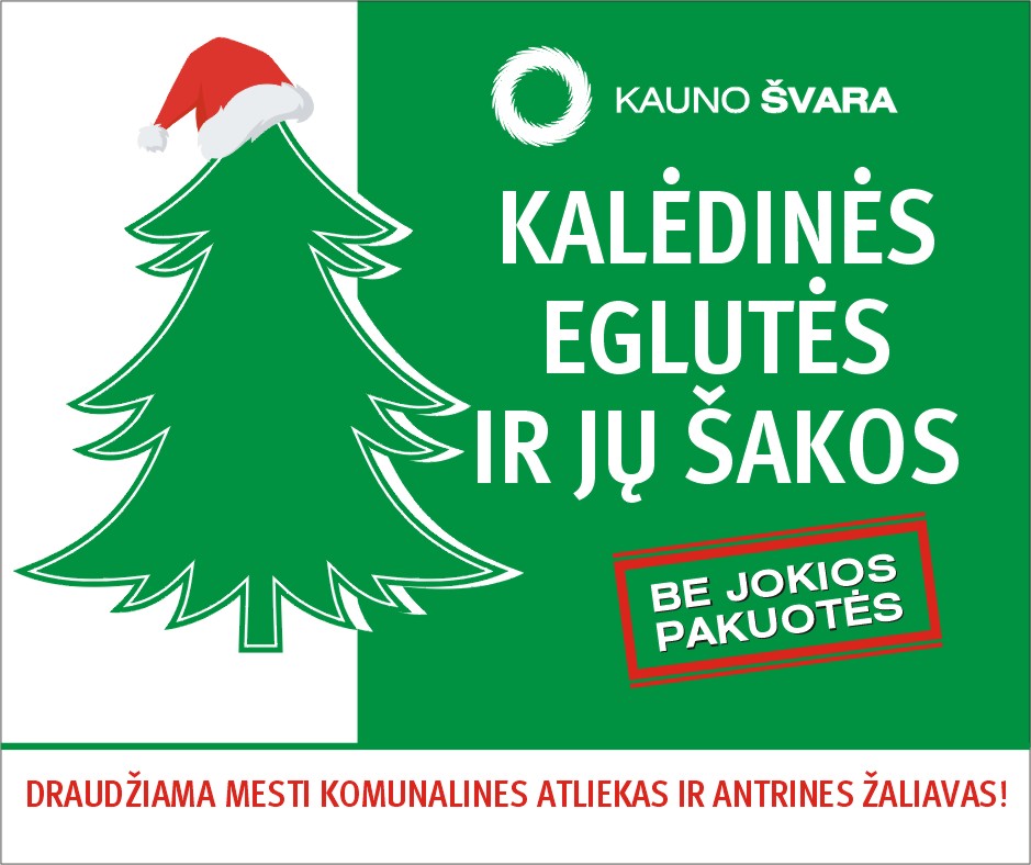 Šventinių eglučių (kėnių ir kitų spygliuočių) bei jų šakų surinkimas