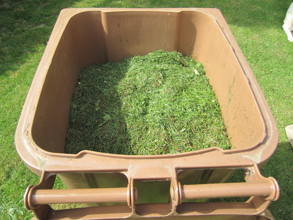 Žaliosios atliekos: kompostuoti, užsisakyti jų išvežimo paslaugą arba pristatyti į specialias surinkimo aikšteles